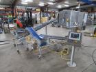 Quantum Topping Applicator With Recirculation Conveyors